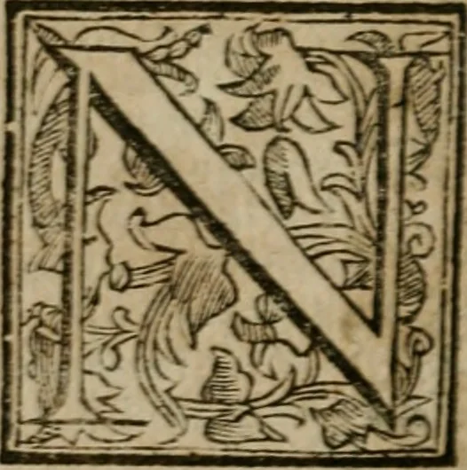 An illustration from Roma antica, 1666, leaf 525