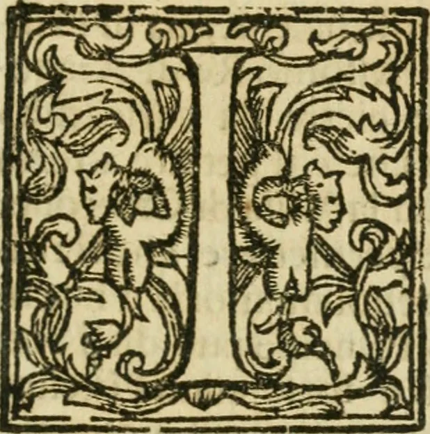 An illustration from Roma antica, 1666, leaf 600