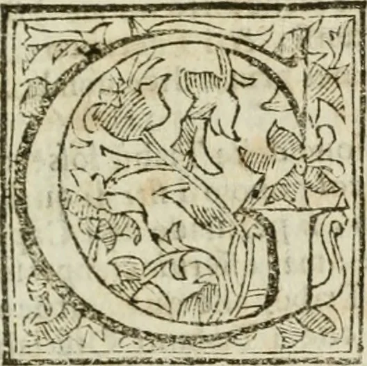 An illustration from Roma antica, 1666, leaf 76