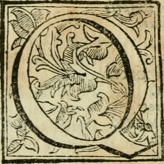 An illustration from Roma antica, 1666, leaf 96