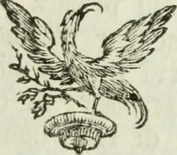 An illustration from Roma delle belle arti del disegno, 1787, leaf 24