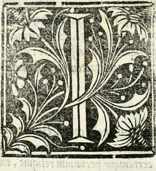 An illustration from Vrbis Romae topographia, 1544, leaf 107
