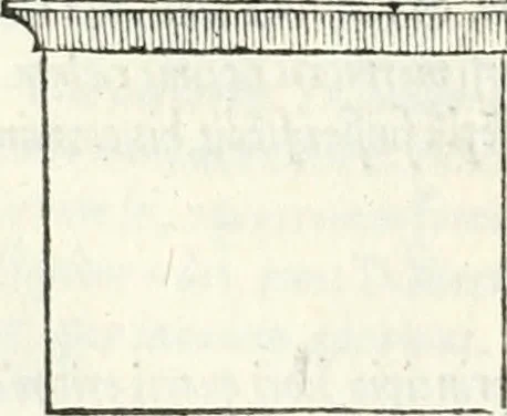 An illustration from Vrbis Romae topographia, 1544, leaf 57