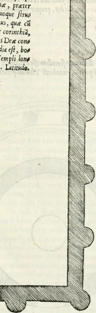 An illustration from Vrbis Romae topographia, 1544, leaf 72