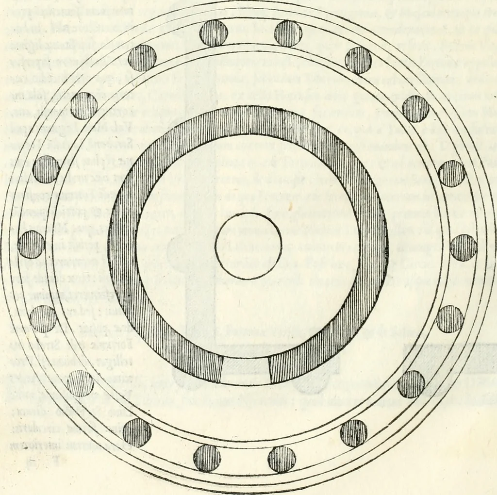 An illustration from Vrbis Romae topographia, 1544, leaf 73