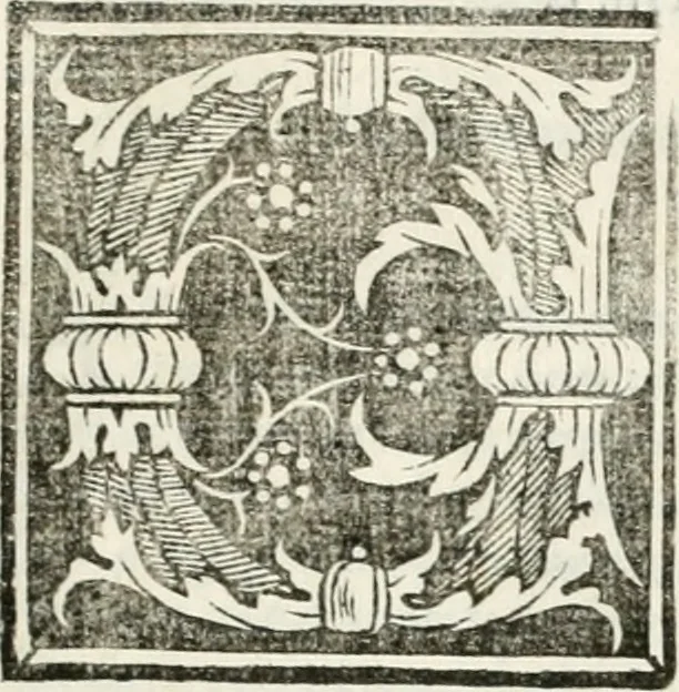 An illustration from Vrbis Romae topographia, 1544, leaf 78