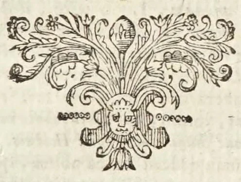 An illustration from Roma illvstrata, sive, Antiqvitatvm Romanarvm breviarivm : accessit Georgii Fabricii Chemnicensis veteris Romæ cum nova collatio ex nova recensione, 1657, leaf 253