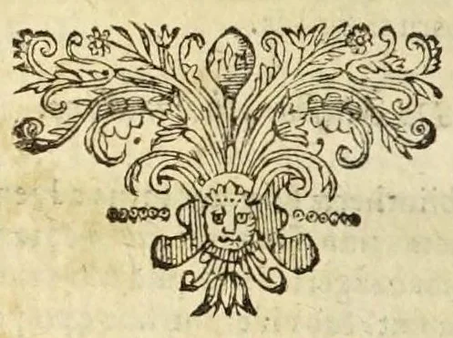 An illustration from Roma illvstrata, sive, Antiqvitatvm Romanarvm breviarivm : accessit Georgii Fabricii Chemnicensis veteris Romæ cum nova collatio ex nova recensione, 1657, leaf 398