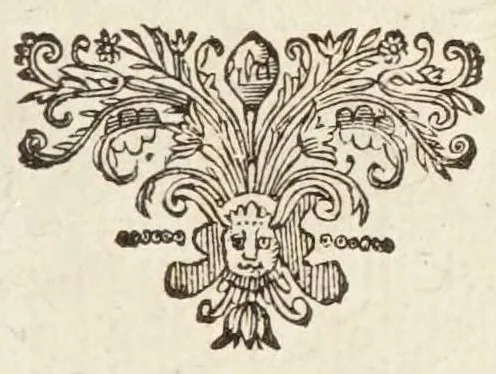An illustration from Roma illvstrata, sive, Antiqvitatvm Romanarvm breviarivm : accessit Georgii Fabricii Chemnicensis veteris Romæ cum nova collatio ex nova recensione, 1657, leaf 557