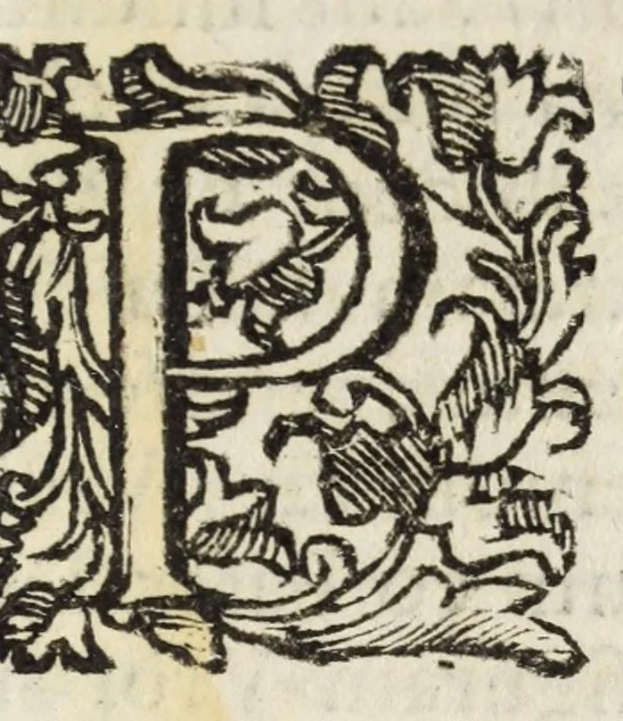 An illustration from Romana antiquitas dissertationibus historico-criticis illustrata : quibus prisci scriptores emendati dilucidatique, recentes castigati inque meliorem ordinem digesti, veteres opiniones nouis fulcris firmatae, propria demum cogitata non infirmis coniecturis stabilita, 1689, leaf 107