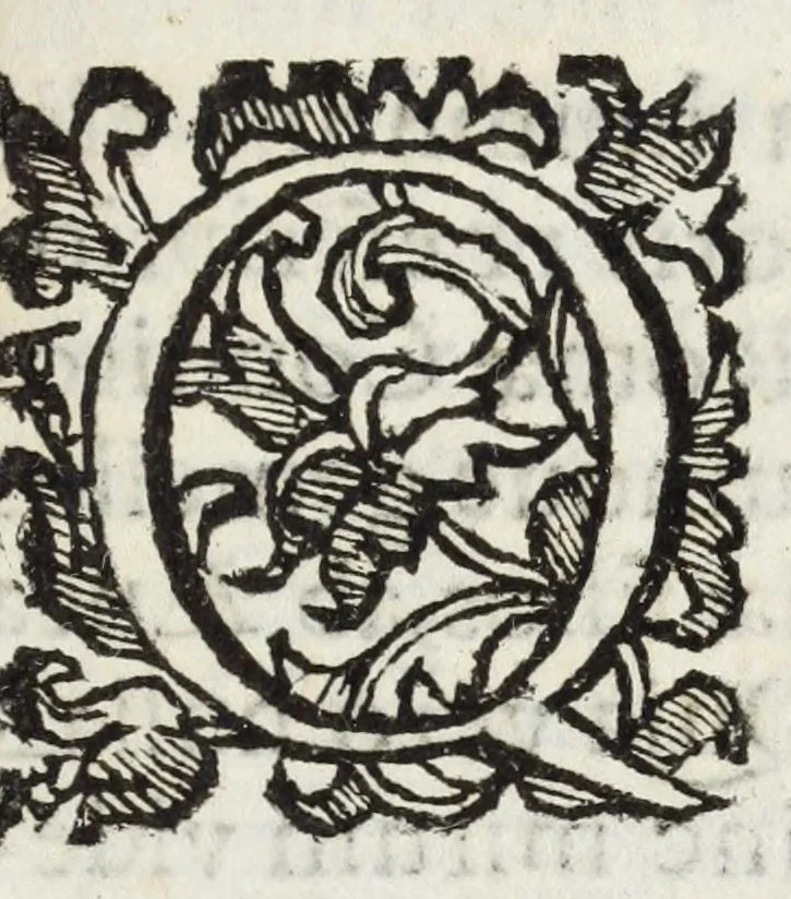 An illustration from Romana antiquitas dissertationibus historico-criticis illustrata : quibus prisci scriptores emendati dilucidatique, recentes castigati inque meliorem ordinem digesti, veteres opiniones nouis fulcris firmatae, propria demum cogitata non infirmis coniecturis stabilita, 1689, leaf 21