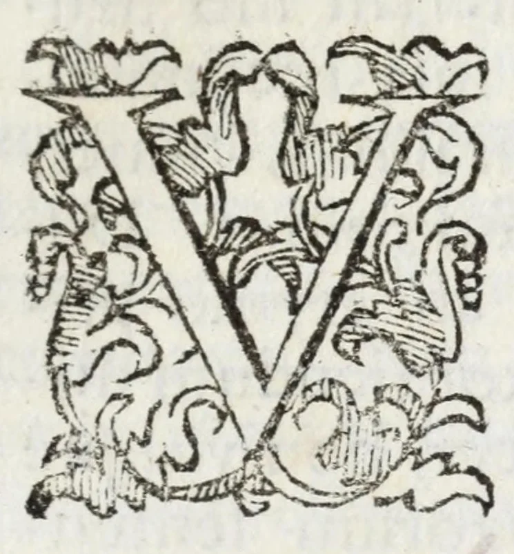 An illustration from Romana antiquitas dissertationibus historico-criticis illustrata : quibus prisci scriptores emendati dilucidatique, recentes castigati inque meliorem ordinem digesti, veteres opiniones nouis fulcris firmatae, propria demum cogitata non infirmis coniecturis stabilita, 1689, leaf 345