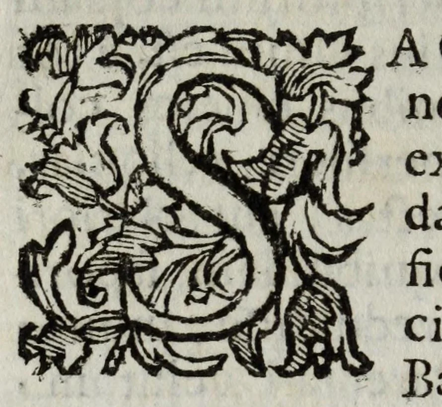 An illustration from Romana antiquitas dissertationibus historico-criticis illustrata : quibus prisci scriptores emendati dilucidatique, recentes castigati inque meliorem ordinem digesti, veteres opiniones nouis fulcris firmatae, propria demum cogitata non infirmis coniecturis stabilita, 1689, leaf 406