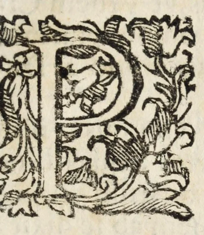An illustration from Romana antiquitas dissertationibus historico-criticis illustrata : quibus prisci scriptores emendati dilucidatique, recentes castigati inque meliorem ordinem digesti, veteres opiniones nouis fulcris firmatae, propria demum cogitata non infirmis coniecturis stabilita, 1689, leaf 63