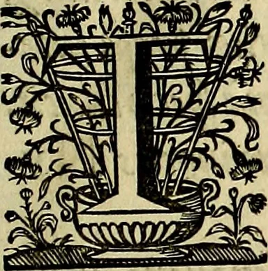 An illustration from Romanae et Graecae antiqvitatis monvmenta, e priscis nvmismatibvs, 1645, leaf 14