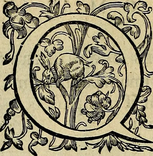 An illustration from Romanae et Graecae antiqvitatis monvmenta, e priscis nvmismatibvs, 1645, leaf 263