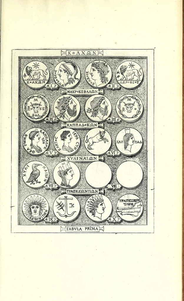 An illustration from Romanae et Graecae antiquitatis monumenta, e priscis numismatibus eruta, 1644, leaf 97