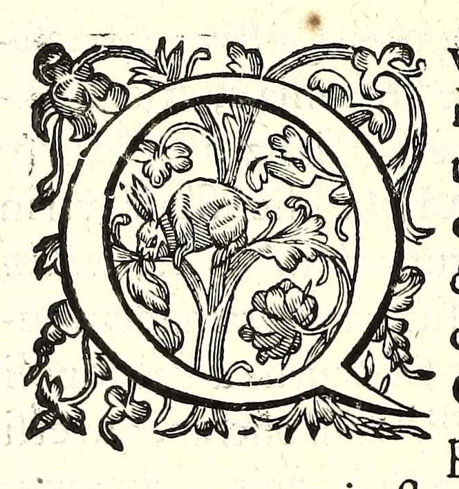 An illustration from Romanae et Graecae antiquitatis monumenta, e priscis numismatibus eruta, 1644, leaf 384