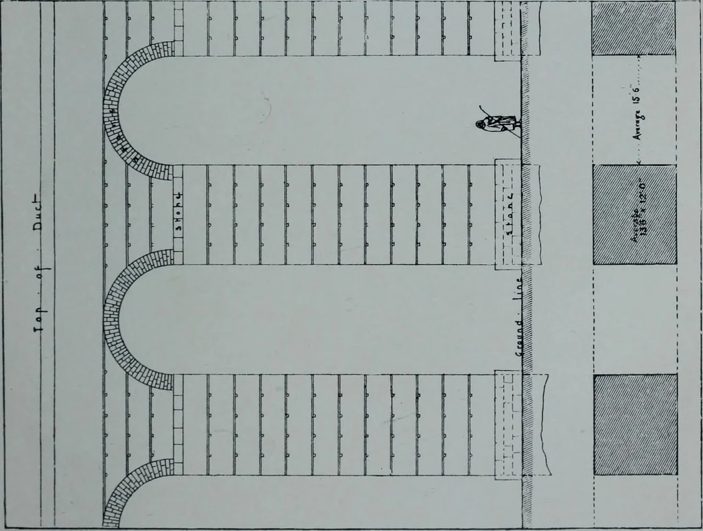 An illustration from Roman Africa; an outline of the history of the Roman occupation of North Africa, based chiefly upon inscriptions and monumental remains in that country. With 30 reproductions of original drawings by the author, and two maps, 1902, leaf 170