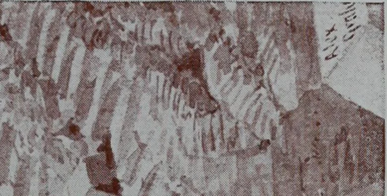 An illustration from Roman Africa; an outline of the history of the Roman occupation of North Africa, based chiefly upon inscriptions and monumental remains in that country. With 30 reproductions of original drawings by the author, and two maps, 1902, leaf 312