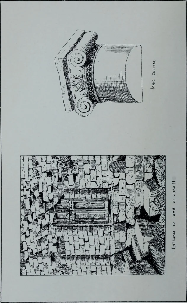An illustration from Roman Africa; an outline of the history of the Roman occupation of North Africa, based chiefly upon inscriptions and monumental remains in that country. With 30 reproductions of original drawings by the author, and two maps, 1902, leaf 65