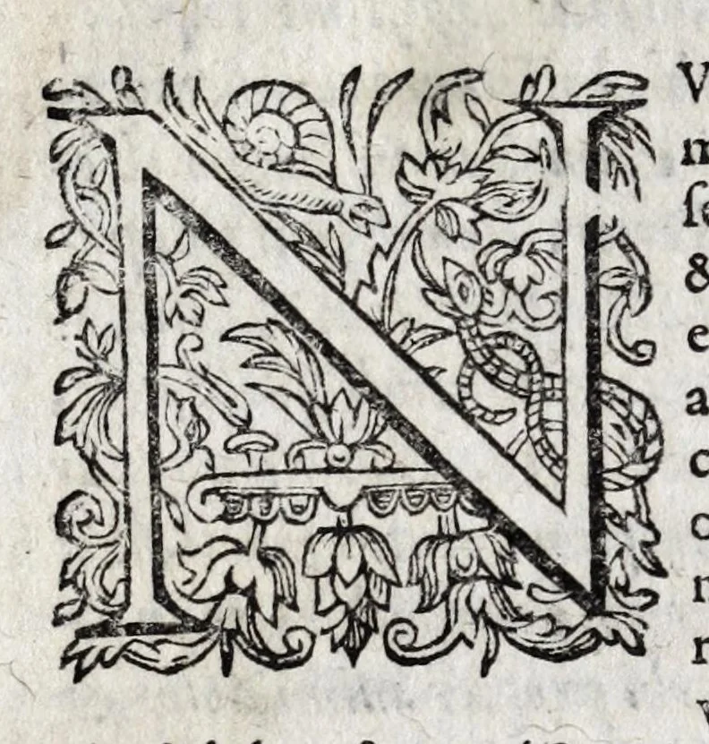 An illustration from Romanarum antiquitatum libri decem : ex variis scriptoribus summa fide singularique diligentia collecti, 1609, leaf 148