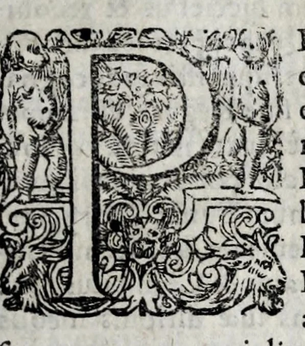 An illustration from Romanarum antiquitatum libri decem : ex variis scriptoribus summa fide singularique diligentia collecti, 1609, leaf 383