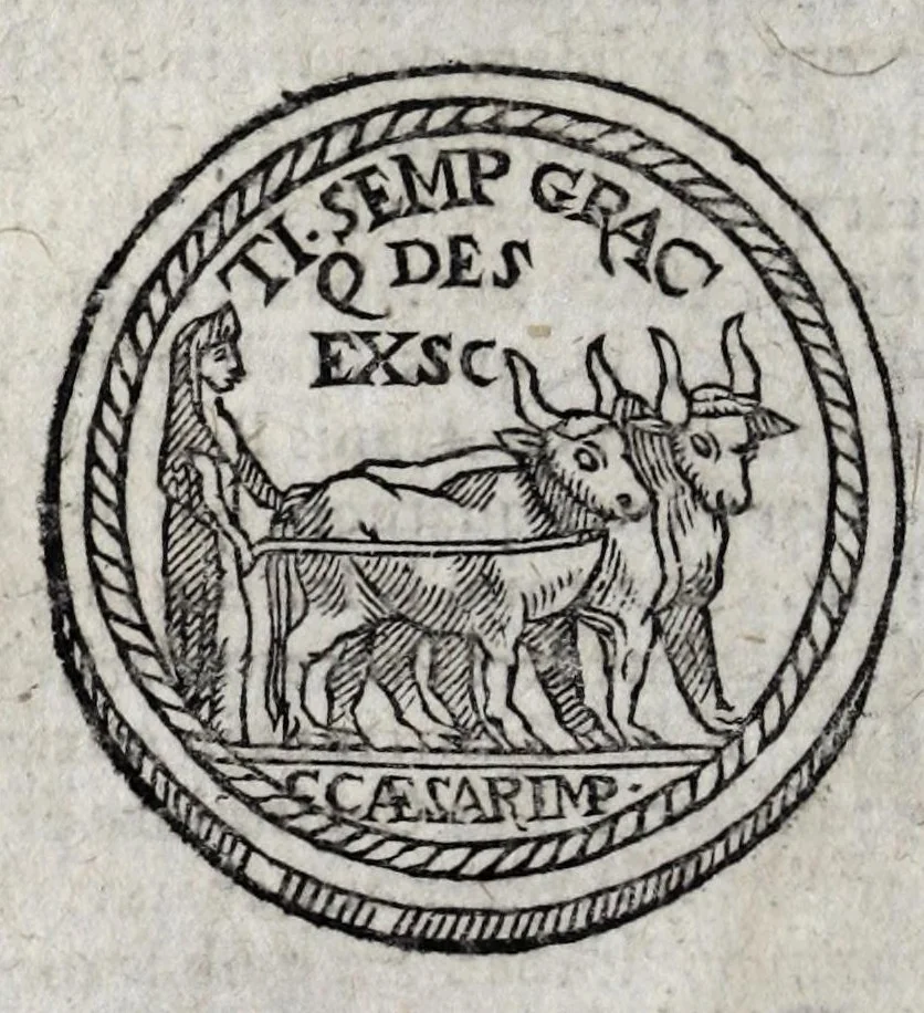 An illustration from Romanarum antiquitatum libri decem : ex variis scriptoribus summa fide singularique diligentia collecti, 1609, leaf 428