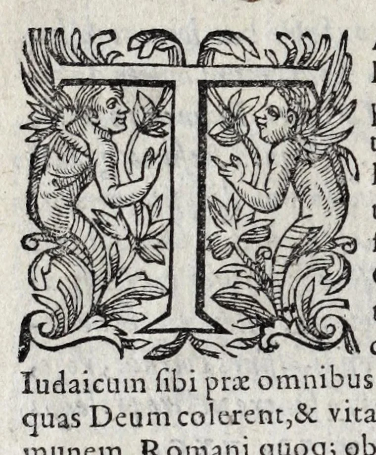 An illustration from Romanarum antiquitatum libri decem : ex variis scriptoribus summa fide singularique diligentia collecti, 1609, leaf 434