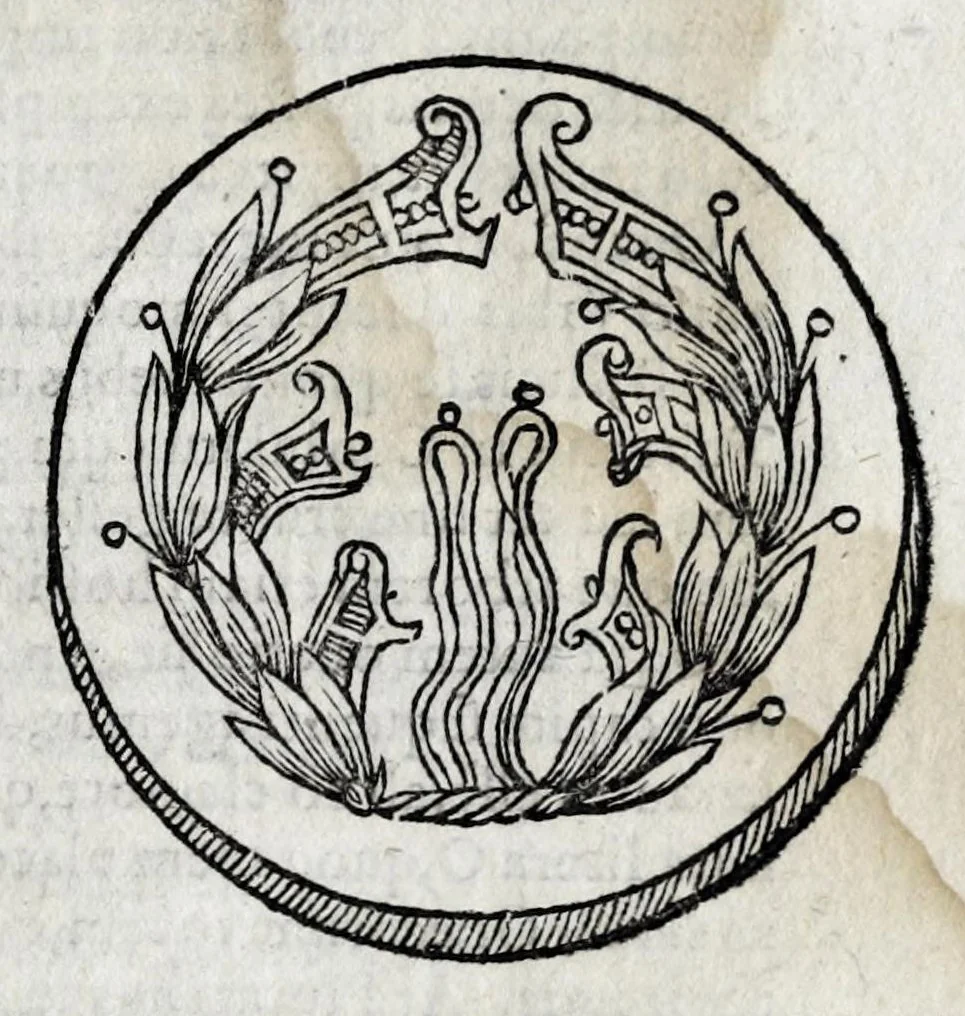 An illustration from Romanarum antiquitatum libri decem : ex variis scriptoribus summa fide singularique diligentia collecti, 1609, leaf 633