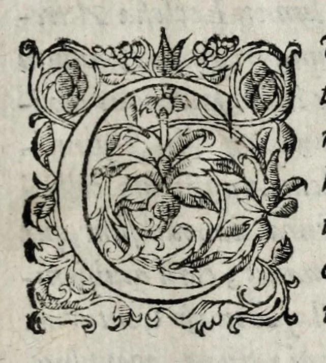 An illustration from Romanarum antiquitatum libri decem : ex variis scriptoribus summa fide singularique diligentia collecti, 1609, leaf 7