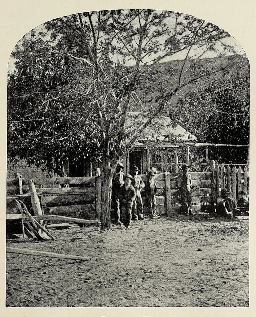 An illustration from The romance of the Colorado River : the story of its discovery in 1540, with an account of the later explorations, and with special reference to the voyages of Powell through the line of the great canyons, 1903, leaf 287