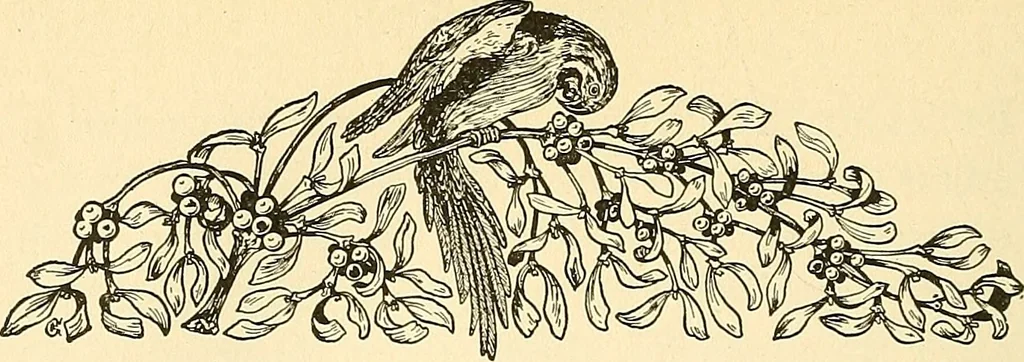 An illustration from Romance of the French abbeys, 1905, leaf 215