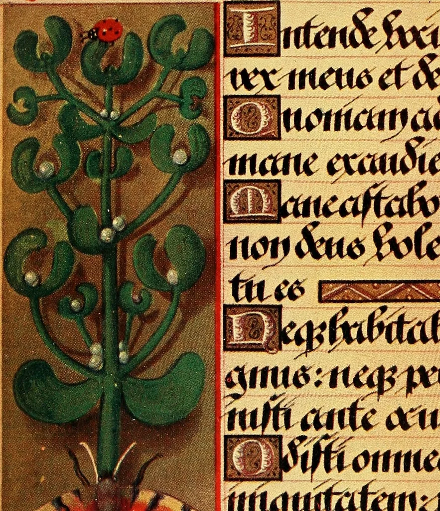 An illustration from Romance of the French abbeys, 1905, leaf 240