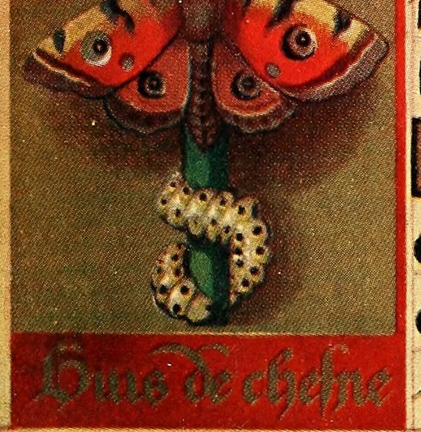 An illustration from Romance of the French abbeys, 1905, leaf 240