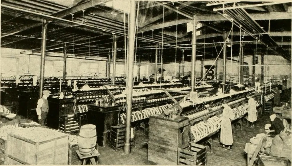 An illustration from The romance of lace, its historical background, its present manufacture, its varieties and uses, 1920, leaf 25