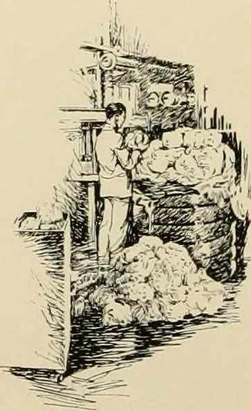 An illustration from The romance of lace, its historical background, its present manufacture, its varieties and uses, 1920, leaf 25