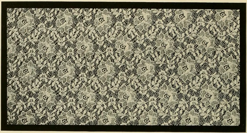 An illustration from The romance of lace, its historical background, its present manufacture, its varieties and uses, 1920, leaf 35