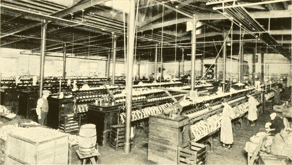 An illustration from The romance of lace, its historical background, its present manufacture, its varieties and uses, 1920, leaf 25