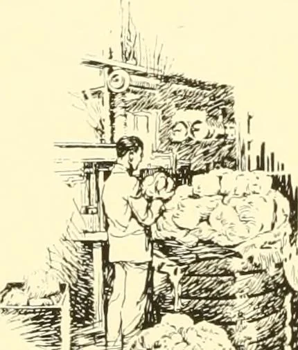 An illustration from The romance of lace, its historical background, its present manufacture, its varieties and uses, 1920, leaf 25