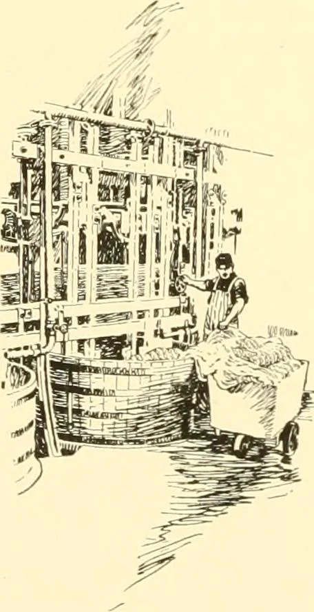 An illustration from The romance of lace, its historical background, its present manufacture, its varieties and uses, 1920, leaf 31