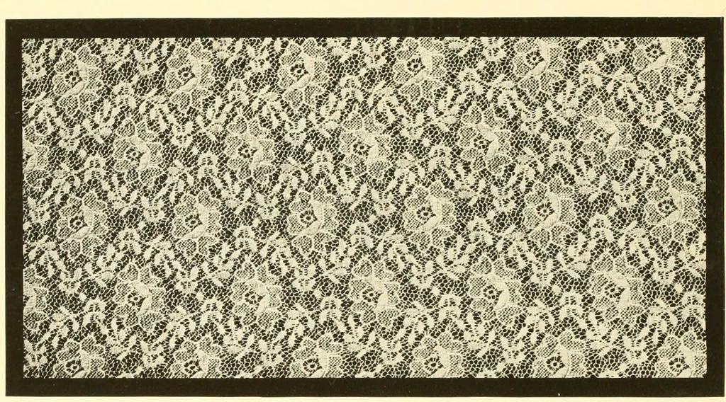 An illustration from The romance of lace, its historical background, its present manufacture, its varieties and uses, 1920, leaf 35