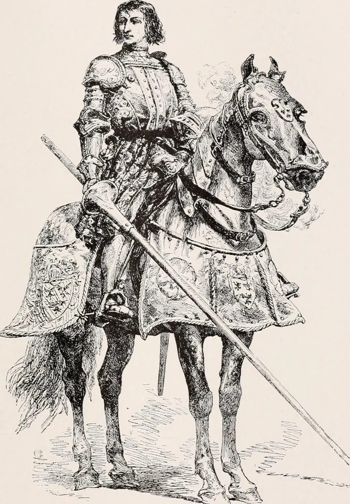 An illustration from Romance of the renaissance châteaux, 1907, leaf 140