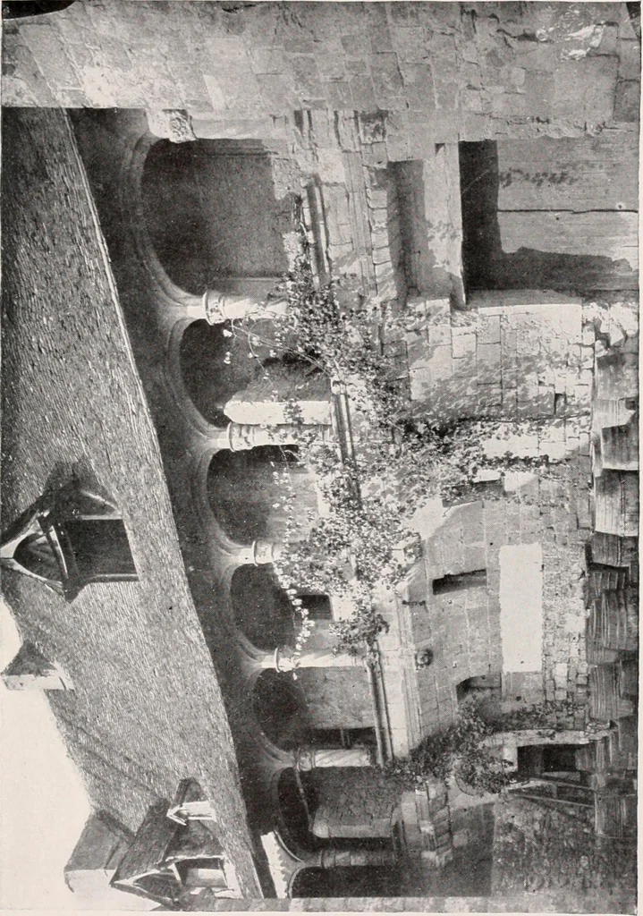 An illustration from Romance of the renaissance châteaux, 1907, leaf 466