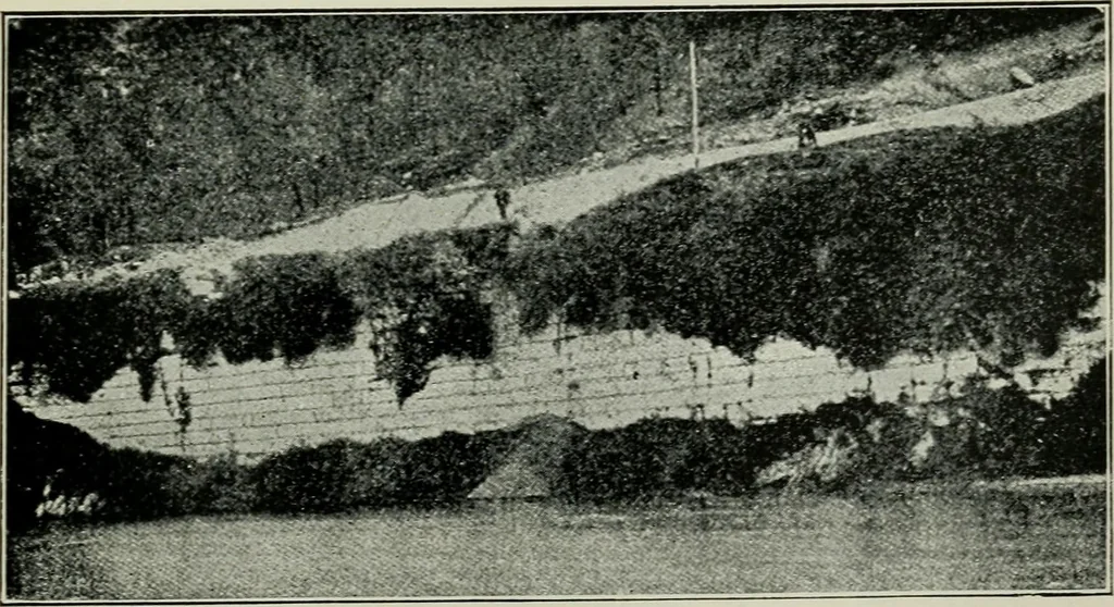 An illustration from Roman cities in Italy and Dalmatia, 1910, leaf 256