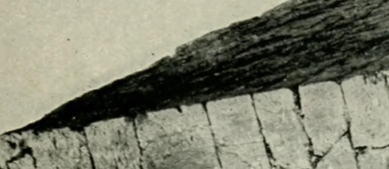An illustration from Roman cities in Italy and Dalmatia, 1910, leaf 78