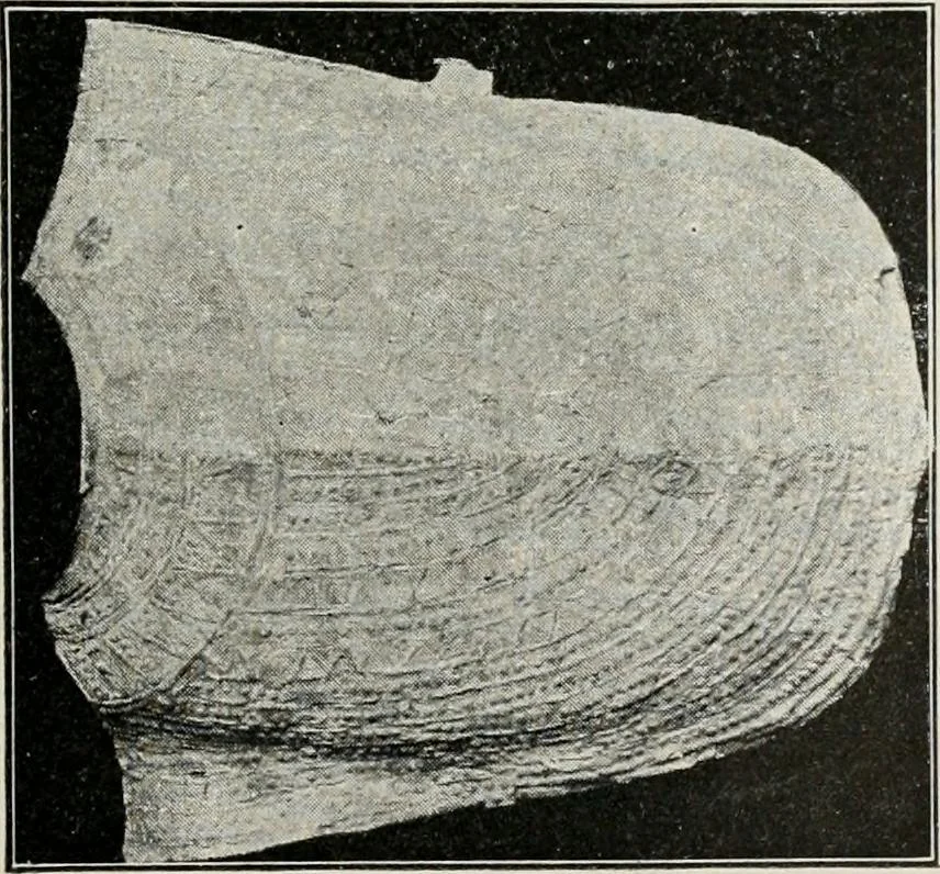 An illustration from Roman cities in Italy and Dalmatia, 1910, leaf 164