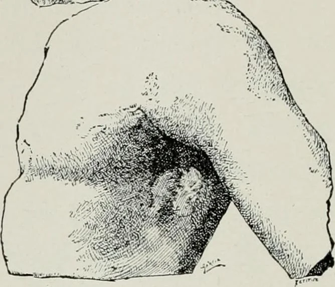 An illustration from Roman cities in Italy and Dalmatia, 1910, leaf 177