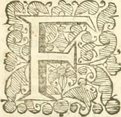 An illustration from The Romane historie, 1659, leaf 1234