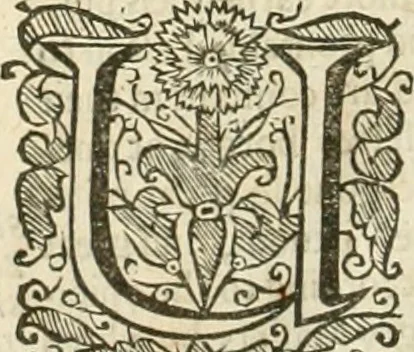 An illustration from The Romane historie, 1659, leaf 1253